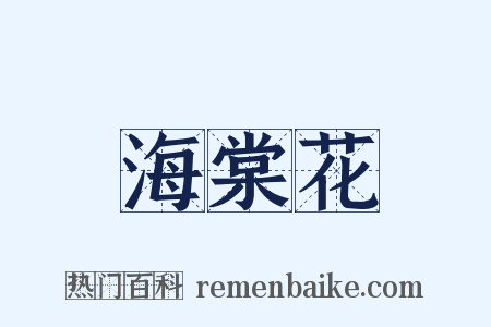 海棠花是什么意思的图片